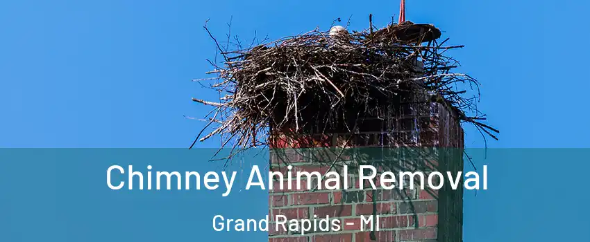  Chimney Animal Removal Grand Rapids - MI