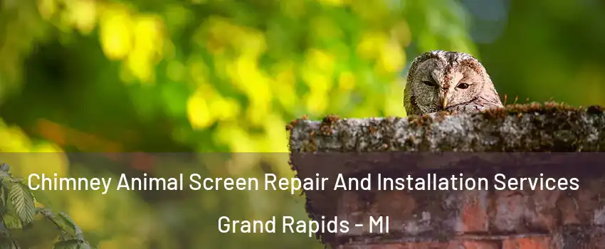  Chimney Animal Screen Repair And Installation Services Grand Rapids - MI