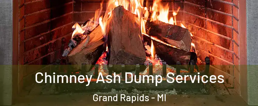  Chimney Ash Dump Services Grand Rapids - MI