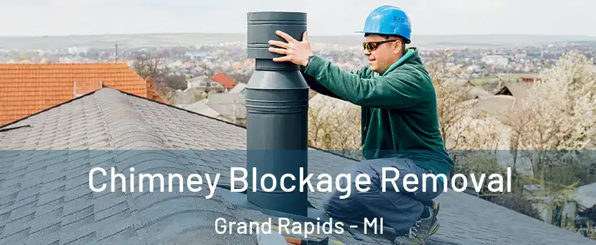  Chimney Blockage Removal Grand Rapids - MI