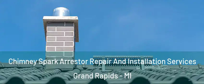  Chimney Spark Arrestor Repair And Installation Services Grand Rapids - MI