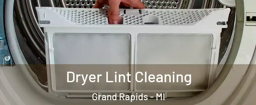  Dryer Lint Cleaning Grand Rapids - MI