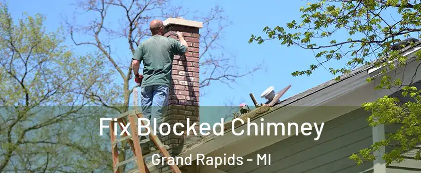 Fix Blocked Chimney Grand Rapids - MI
