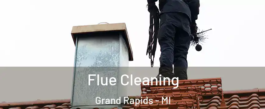  Flue Cleaning Grand Rapids - MI
