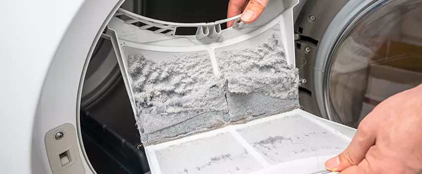 Best Dryer Lint Removal Company in Grand Rapids, Michigan