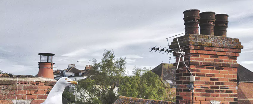 Chimney Cleaning And Restoration in Grand Rapids, Michigan