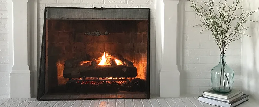 Cost-Effective Fireplace Mantel Inspection And Maintenance in Grand Rapids, MI