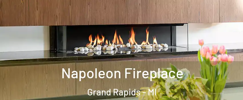  Napoleon Fireplace Grand Rapids - MI