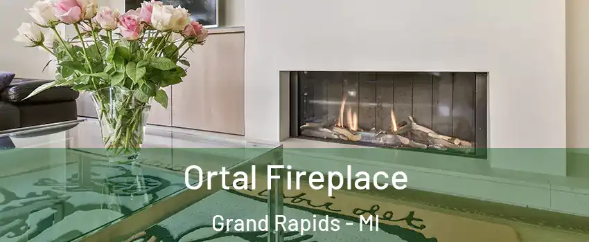  Ortal Fireplace Grand Rapids - MI